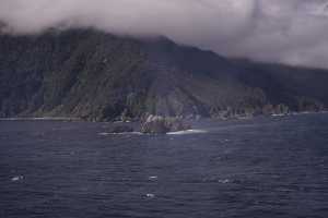 FIORDLAND-NATIONAL-PARK-2019 (210)